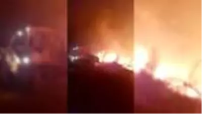 İzmir’de çıkan orman yangını kontrol altına alındı