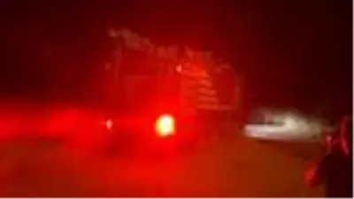 İzmir'deki orman yangını 5 saatte kontrol altına alındı (2)