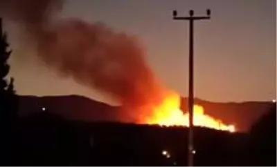 İzmir'deki orman yangını kontrol altında