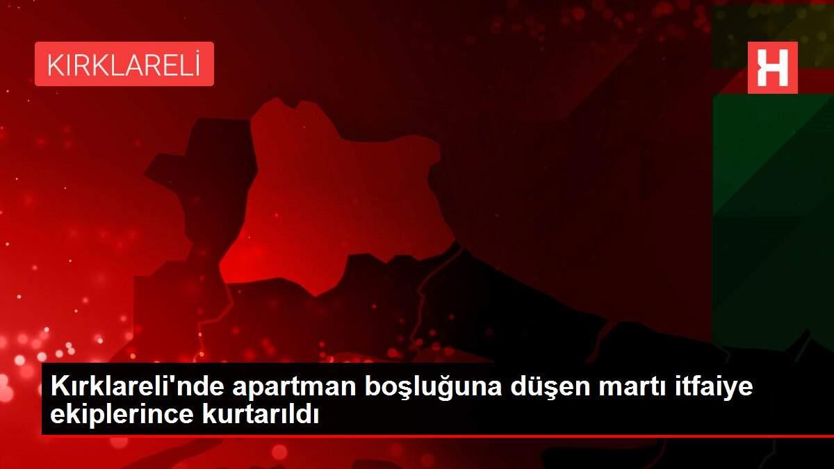 Kırklareli'nde apartman boşluğuna düşen martı itfaiye ekiplerince kurtarıldı