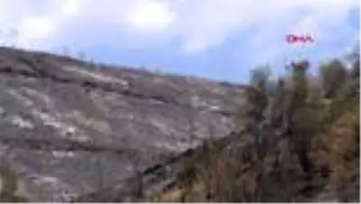 Menderes’teki yangının tahribatı, havadan görüntülendi