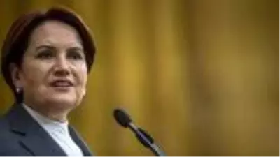 Meral Akşener, Cumhurbaşkanı’nın masasındaki erken seçim tarihini paylaştı