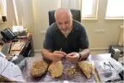 Muş'ta 50 milyon yıllık fosiller bulundu Muş'ta 50 milyon yıllık fosiller bulundu