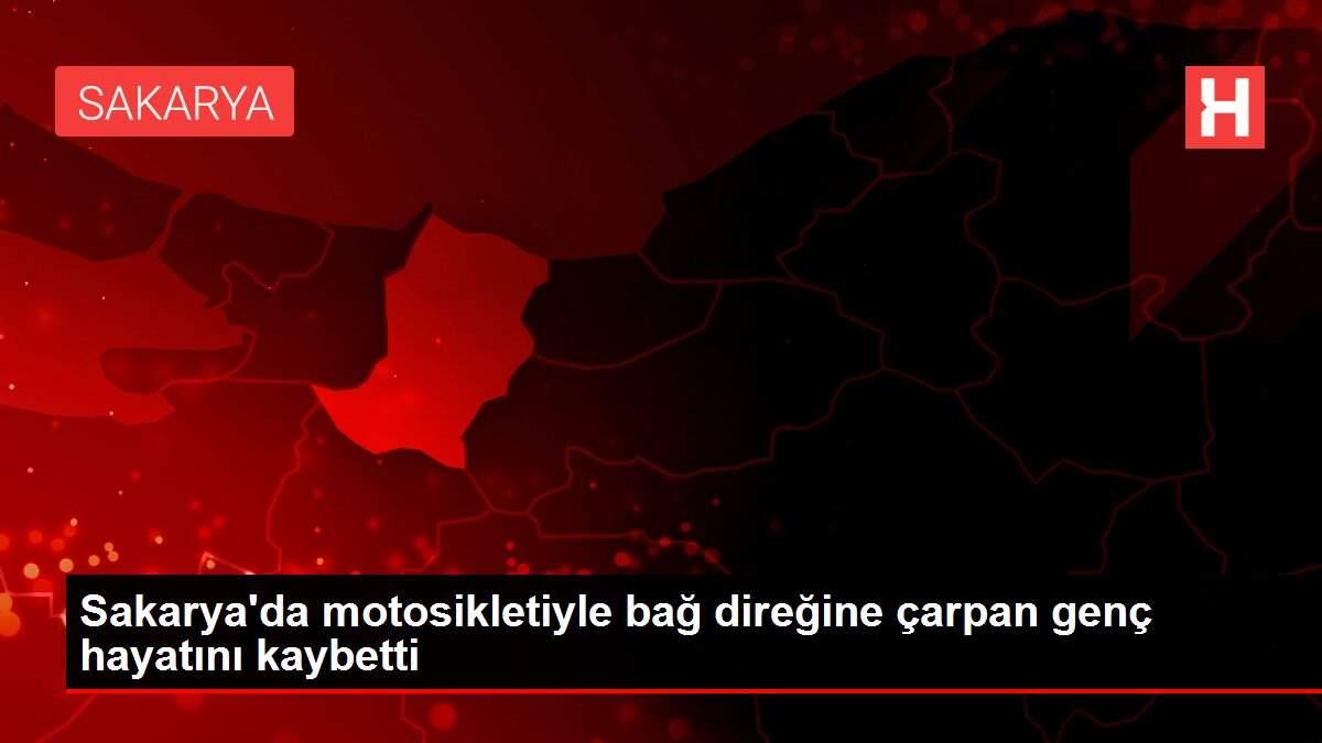 Sakarya'da motosikletiyle bağ direğine çarpan genç hayatını kaybetti