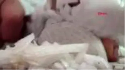 ŞANLIURFA Lezzet kentleri lahmacunun tadında anlaşamıyor