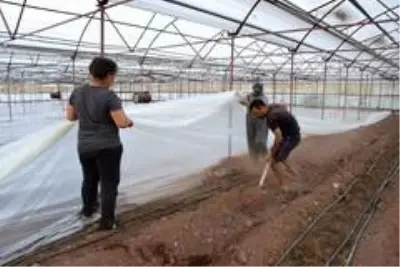 Seralarda solarizasyon dönemi başladı