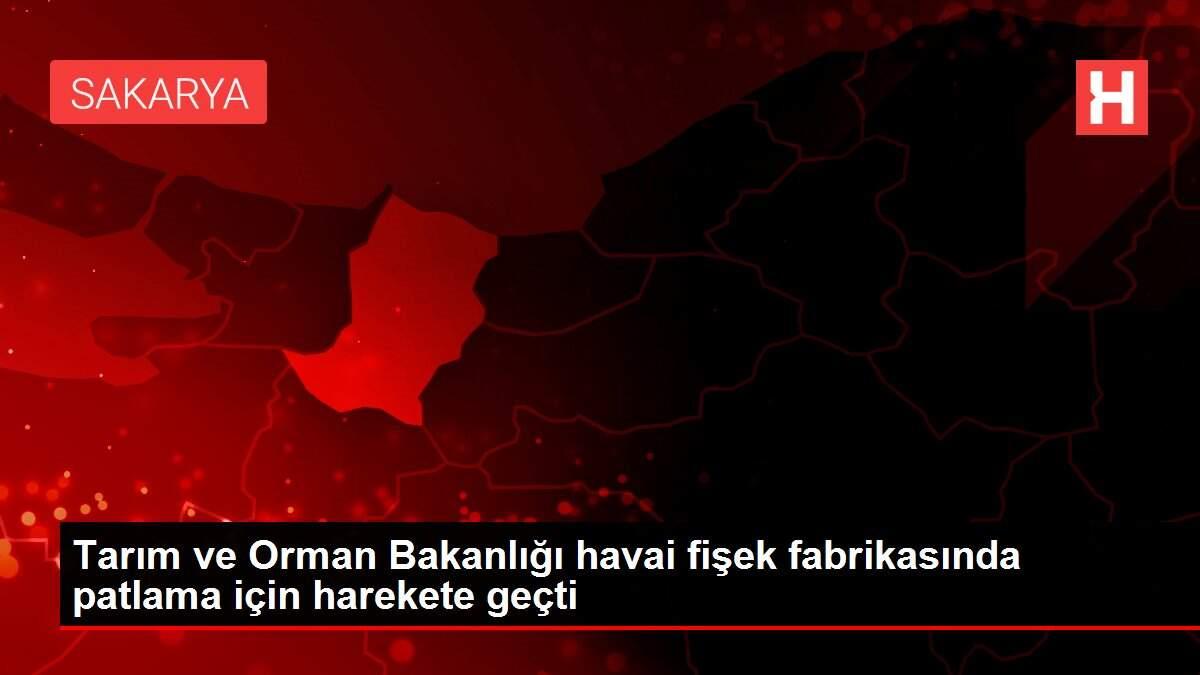 Tarım ve Orman Bakanlığı havai fişek fabrikasında patlama için harekete geçti