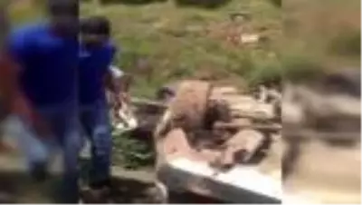 Tofaş hurdaya döndü: 5 yaralı Tofaş hurdaya döndü: 5 yaralı