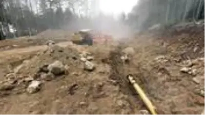 Koronavirüs salgını döneminde Uludağ'da 1500 ağaç kesildi, doğaseverler tepkili Koronavirüs salgını döneminde Uludağ'da 1500 ağaç kesildi, doğaseverler tepkili