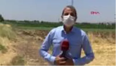Yavru leylekler, ilk kez çıkacakları ve yüzde 90'ının öleceği zorlu göçe hazırlanıyor Yavru leylekler, ilk kez çıkacakları ve yüzde 90'ının öleceği zorlu göçe hazırlanıyor