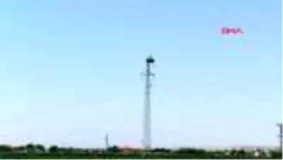 Yavru leylekler, ilk kez çıkacakları ve yüzde 90'ının öleceği zorlu göçe hazırlanıyor Yavru leylekler, ilk kez çıkacakları ve yüzde 90'ının öleceği zorlu göçe hazırlanıyor