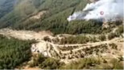 1 uçak ve 4 helikopterin müdahale ettiği yangında 4 hektarlık orman arazisi zarar gördü