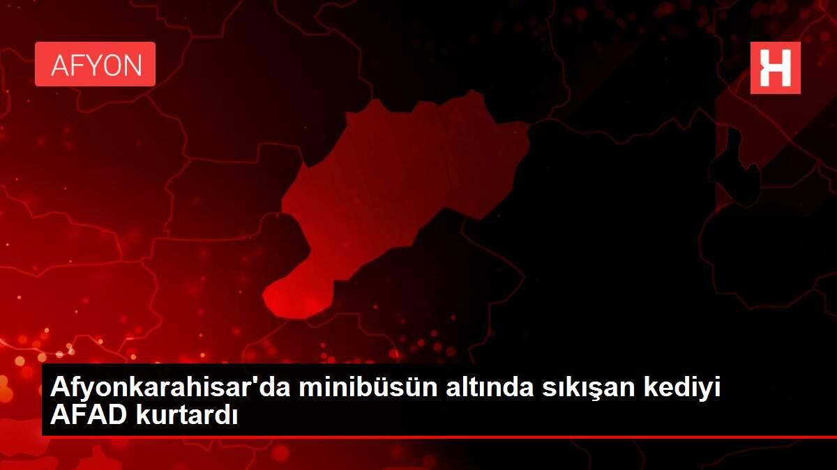 Afyonkarahisar'da minibüsün altında sıkışan kediyi AFAD kurtardı