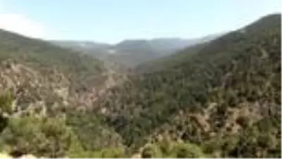 Amanoslar'ın 'yanan taşları' turizme kazandırılacak Amanoslar'ın 'yanan taşları' turizme kazandırılacak