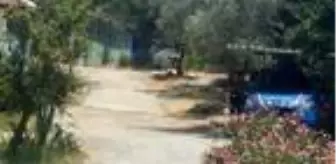 Bodrum Devlet Hastanesi: Balık çiftliğinde 2 kişiyi öldürdüğü iddia edilen şüpheli aranıyor Bodrum Devlet Hastanesi: Balık çiftliğinde 2 kişiyi öldürdüğü iddia edilen şüpheli aranıyor
