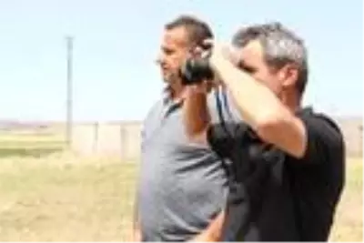 Çorum'da fotokapanlara 'aslan' değil, çakal, tilki ve domuz takıldı Çorum'da fotokapanlara 'aslan' değil, çakal, tilki ve domuz takıldı