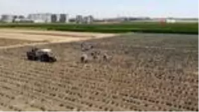 Diyarbakır'ın kokusu lavanta bahçesiyle değişti Diyarbakır'ın kokusu lavanta bahçesiyle değişti