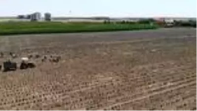 Diyarbakır'ın kokusu lavanta bahçesiyle değişti Diyarbakır'ın kokusu lavanta bahçesiyle değişti