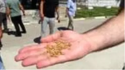 Edirne'de lisanslı depoculuk çiftçiye kazandırıyor Edirne'de lisanslı depoculuk çiftçiye kazandırıyor
