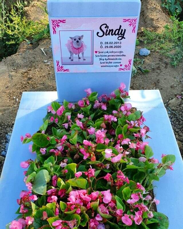 Esra ve Ceyda Ersoy kardeşlerin köpekleri öldü! Yaptırdıkları mezarlık sosyal medyada gündem oldu Esra ve Ceyda Ersoy kardeşlerin köpekleri öldü! Yaptırdıkları mezarlık sosyal medyada gündem oldu