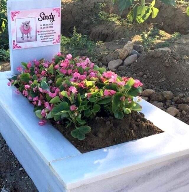 Esra ve Ceyda Ersoy kardeşlerin köpekleri öldü! Yaptırdıkları mezarlık sosyal medyada gündem oldu Esra ve Ceyda Ersoy kardeşlerin köpekleri öldü! Yaptırdıkları mezarlık sosyal medyada gündem oldu