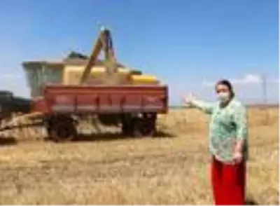 Hububat hasatı çiftinin yüzünü güldürüyor