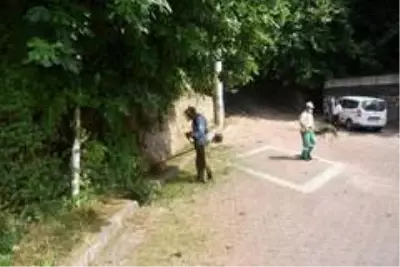 İzmit Belediyesi'nden yabani ot mesaisi