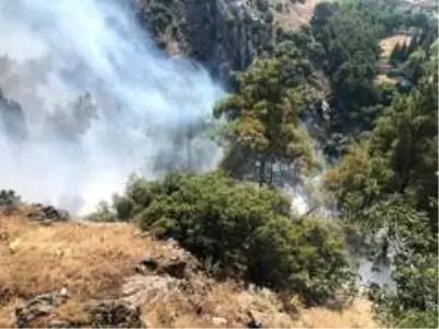 Manisa'da ormanlık alanda yangın