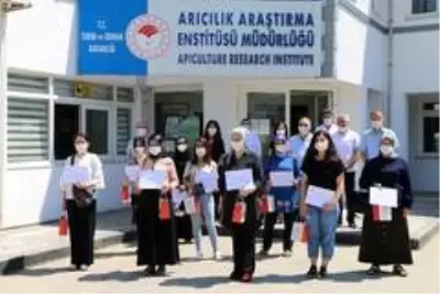 Ordu'da çiftçi kadınların geliri arı sütünden