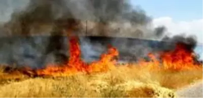Sigara izmariti yangına neden oldu