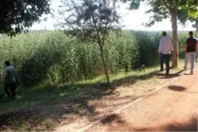 Sevdiği kız başkasına verilen genç, veda etmek için video çektikten sonra canına kıydı
