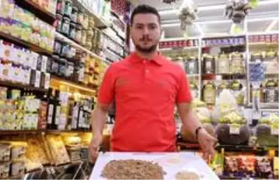 Doğada kendiliğinden yetişmesine rağmen toplaması yasak olan salebin kilosu 900 liraya satılıyor Doğada kendiliğinden yetişmesine rağmen toplaması yasak olan salebin kilosu 900 liraya satılıyor