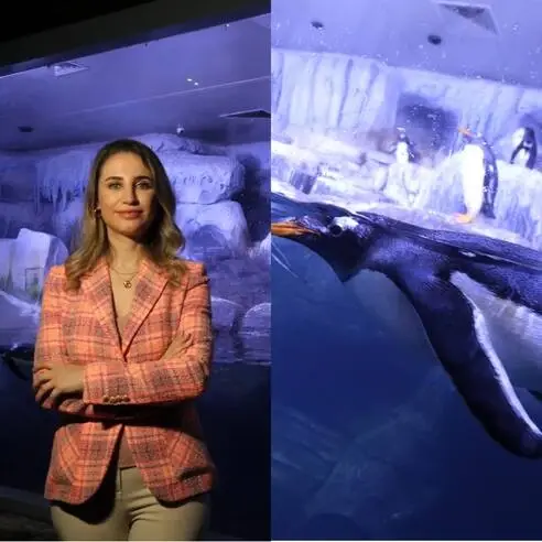 Türkiye'nin ilk bebek 'Kutup Pengueni' İstanbul Akvaruym'da Dünyaya geldi Türkiye'nin ilk bebek 'Kutup Pengueni' İstanbul Akvaruym'da Dünyaya geldi