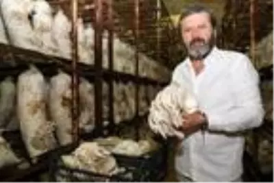 Antalya'nın Korkuteli ilçesi Türkiye'nin mantar üretiminin yüzde 30'unu karşılıyor
