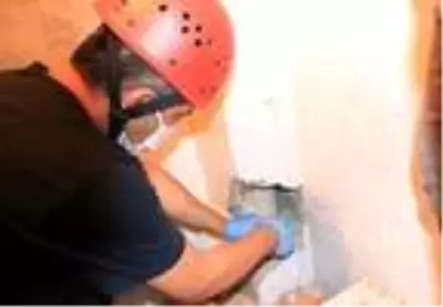 Yavru kedi sıkıştığı yerden kurtarıldı
