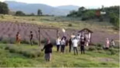 Balıkesir'in lavantası, Isparta'nın gülüne rakip oldu Balıkesir'in lavantası, Isparta'nın gülüne rakip oldu