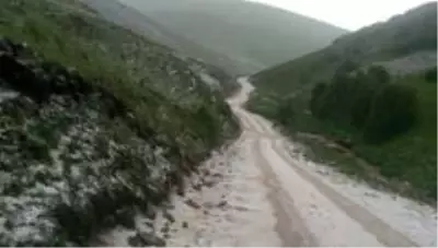 Dolu yağışı sonrası her yer bembeyaz oldu Dolu yağışı sonrası her yer bembeyaz oldu