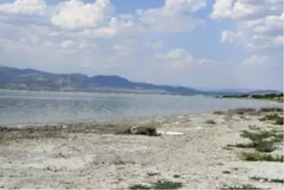 Havadan görüp polisi aradılar, acı gerçek ortaya çıktı