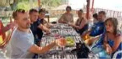 Kampta görülen Gergedan böceği, tatilcilerin ilgi odağı oldu Kampta görülen Gergedan böceği, tatilcilerin ilgi odağı oldu
