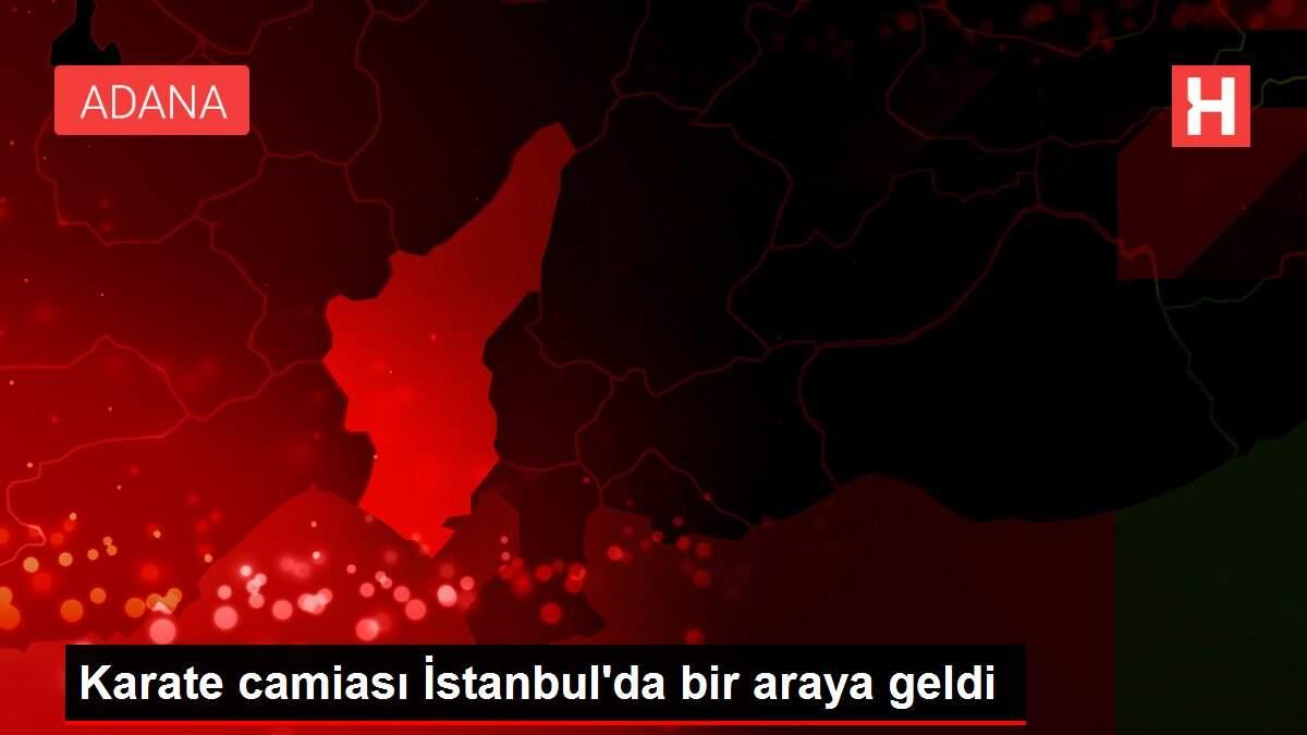 Karate camiası İstanbul'da bir araya geldi Karate camiası İstanbul'da bir araya geldi