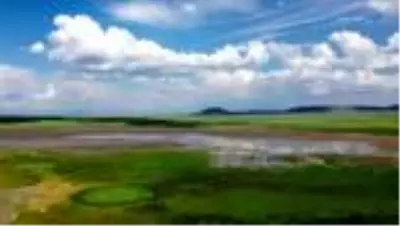 Kuşların göç rotasındaki Kuyucuk yeniden 'kuş cenneti' oldu Kuşların göç rotasındaki Kuyucuk yeniden 'kuş cenneti' oldu