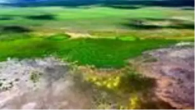 Kuşların göç rotasındaki Kuyucuk yeniden 'kuş cenneti' oldu Kuşların göç rotasındaki Kuyucuk yeniden 'kuş cenneti' oldu