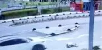 Cankurtaran: MALTEPE'DE KÖPEĞİN ÖLÜMÜNE NEDEN OLAN BİRSEN OCAKLI'NIN AVUKATINDAN AÇIKLAMA Cankurtaran: MALTEPE'DE KÖPEĞİN ÖLÜMÜNE NEDEN OLAN BİRSEN OCAKLI'NIN AVUKATINDAN AÇIKLAMA