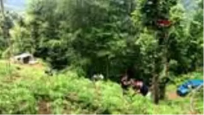 Rize'de, ormanda kaybolan çocuk aranıyor Rize'de, ormanda kaybolan çocuk aranıyor