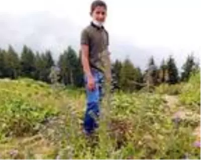 Rize'de, ormanda kaybolan çocuk bulundu Rize'de, ormanda kaybolan çocuk bulundu