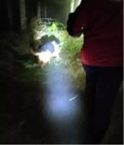 Rize'de, ormanda kaybolan çocuk bulundu Rize'de, ormanda kaybolan çocuk bulundu