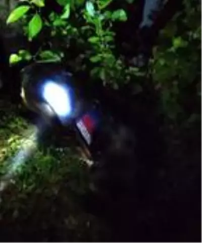 Rize'de, ormanda kaybolan çocuk bulundu Rize'de, ormanda kaybolan çocuk bulundu