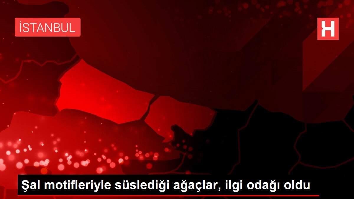 Şal motifleriyle süslediği ağaçlar, ilgi odağı oldu
