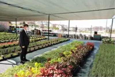 Şehitkamil'den evleri ve bahçeleri güzelleştiren imkan