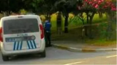 Kocaeli'de yaşlı adam, kendisini yol kenarındaki ağaca asarak intihar etti Kocaeli'de yaşlı adam, kendisini yol kenarındaki ağaca asarak intihar etti